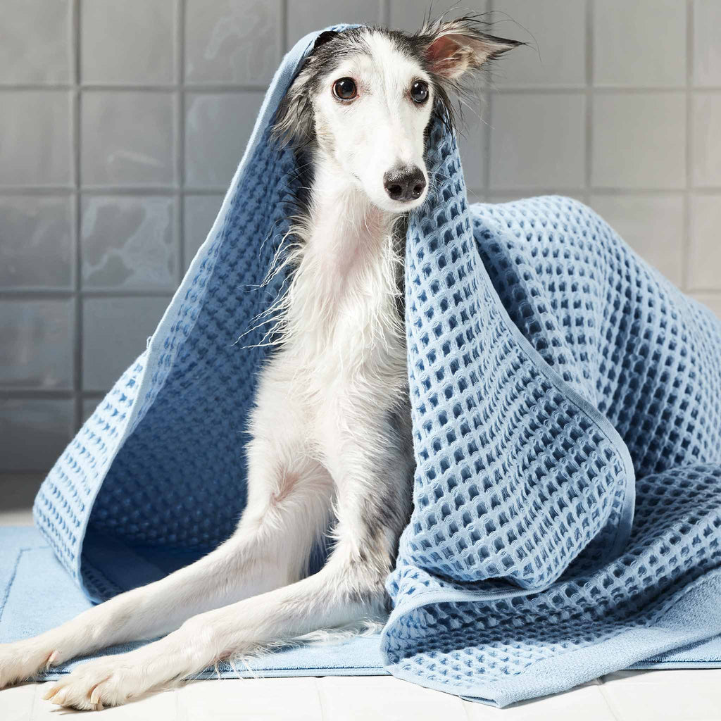 Brooklinen Dreamweave Waffle Towel Move-In Bundle
