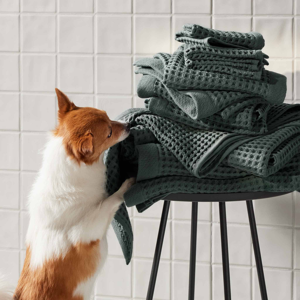 Brooklinen Dreamweave Waffle Bath Sheet Bundle