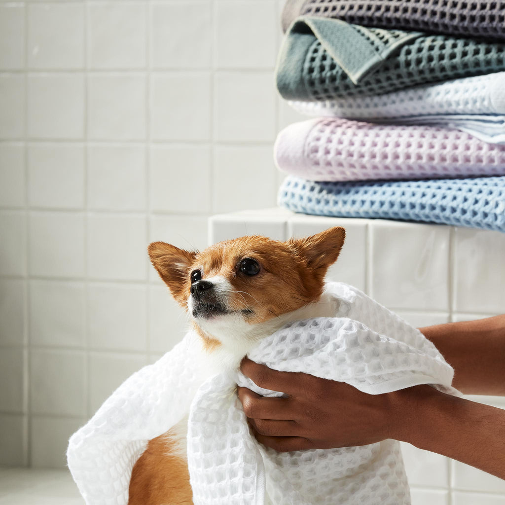Brooklinen Dreamweave Waffle Hand Towels Set of 2
